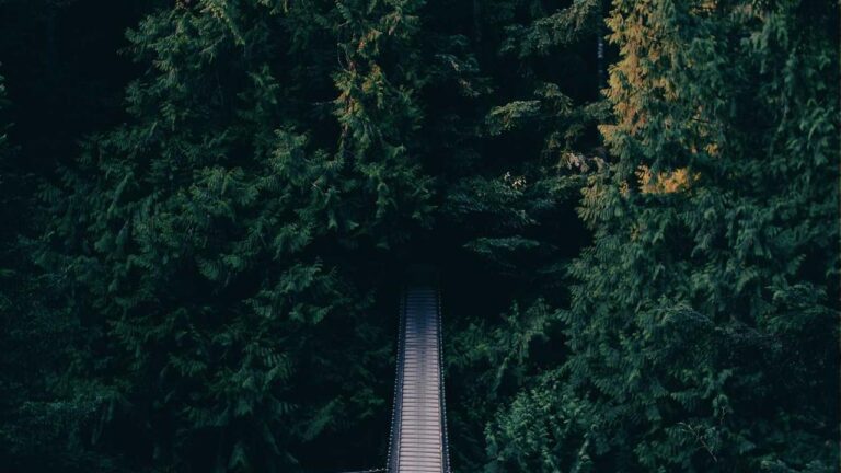 What Benefits Come With A 99Exch Promo Offer?