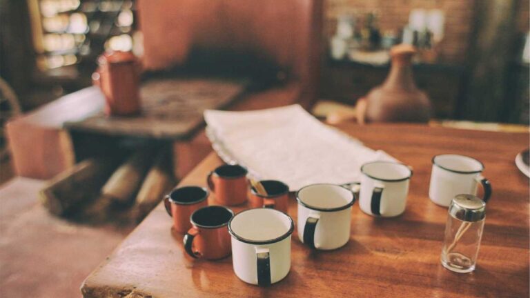 What Is Reddy Book Social And How Does It Work?