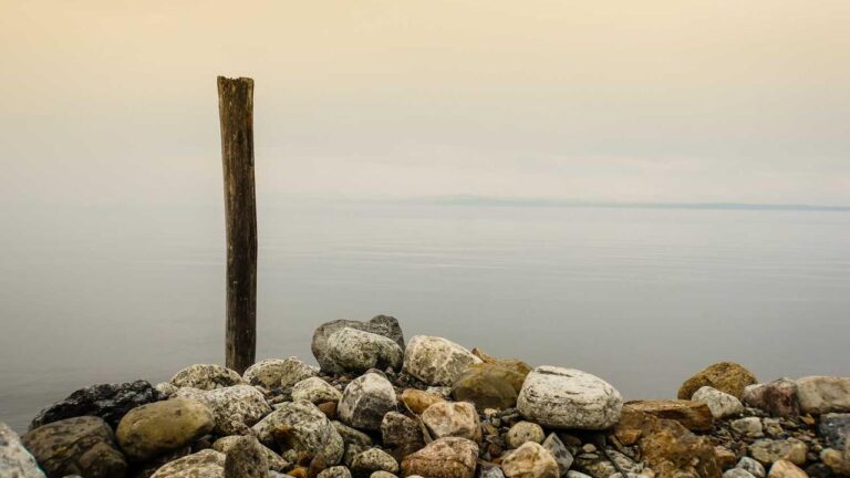 What Are Expert Tips For Cricbet99 Beginners?